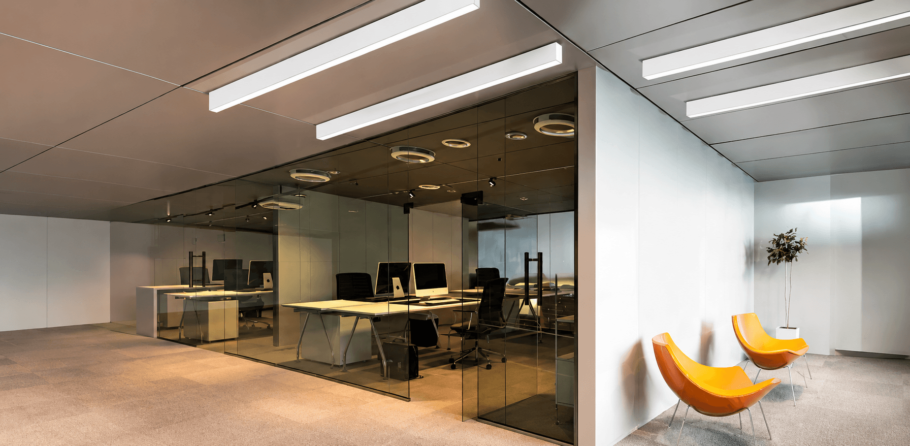 FLIRE_Ceiling_1920x940_AppPic1_Fri Jul16th 2026.png