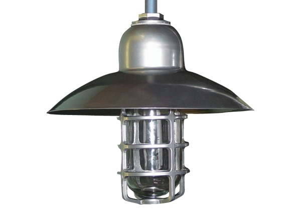 MAXXIMUS_Pendant_600x420_Thumbnail_Tues Feb24th 2026 copy